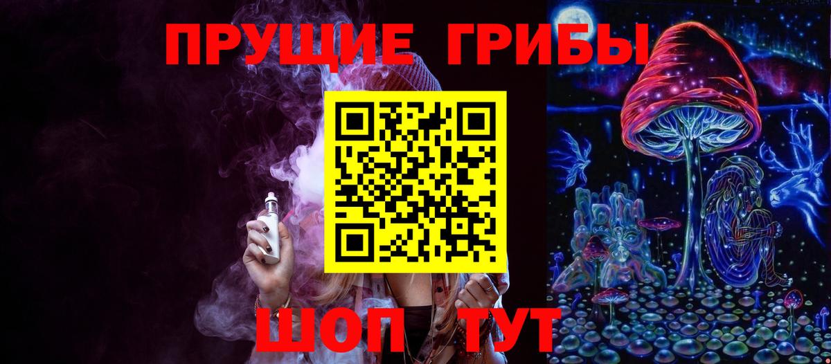 Кувандык  Псилоцибиновые грибы мицелий  Вход с VPN  Галлюциногенные грибы Cubensis 