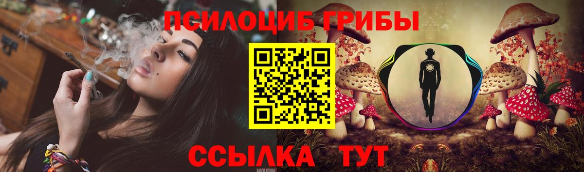 Псилоцибиновые грибы Cubensis Кувандык