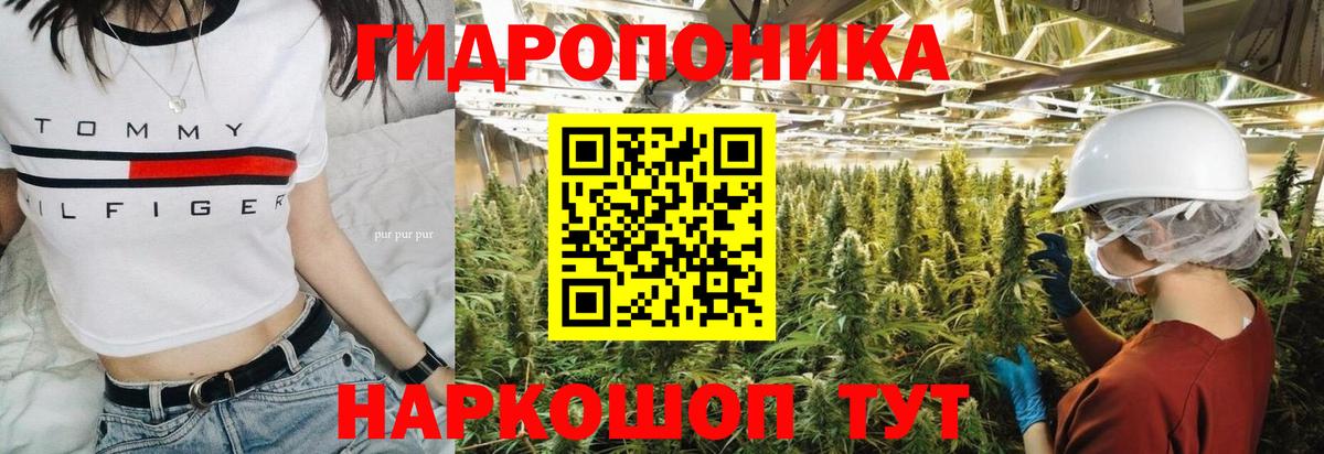 Бошки марихуана Ganja  Марихуана LSD WEED  Конопля VHQ  Вход с VPN  Кувандык 